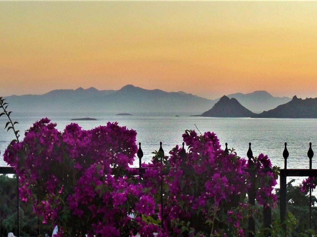 Sunset Mavi Vila Turgutreis Exterior foto